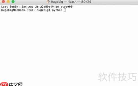 Python控制台运行脚本