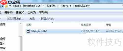 Topaz磨皮滤镜安装指南