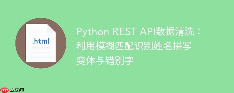 Python REST API数据清洗:利用模糊匹配识别姓名拼写变体与错别字