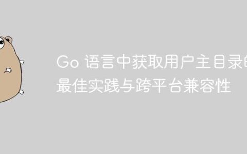 Go 语言中获取用户主目录的最佳实践与跨平台兼容性
