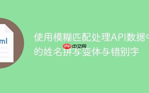 使用模糊匹配处理API数据中的姓名拼写变体与错别字
