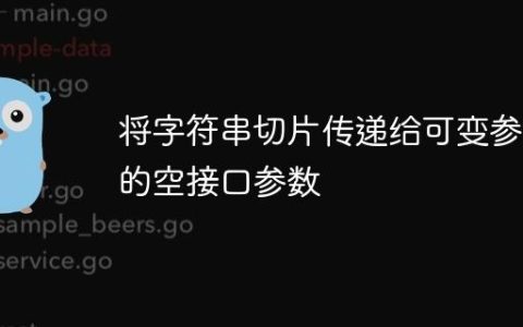 将字符串切片传递给可变参数的空接口参数