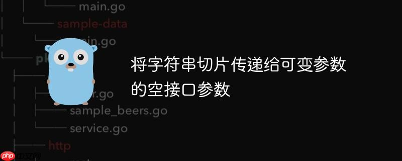 将字符串切片传递给可变参数的空接口参数