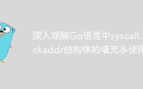 深入理解Go语言中syscall.Sockaddr结构体的填充与使用
