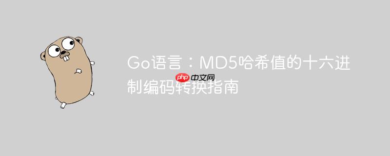 Go语言:MD5哈希值的十六进制编码转换指南