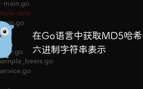 在Go语言中获取MD5哈希的十六进制字符串表示