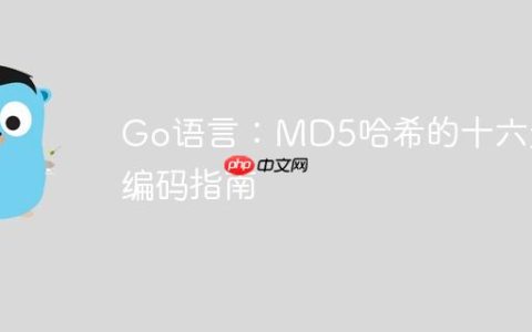 Go语言：MD5哈希的十六进制编码指南