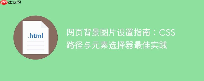 网页背景图片设置指南:CSS路径与元素选择器最佳实践