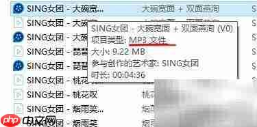 QQ音乐FLAC格式转换方法