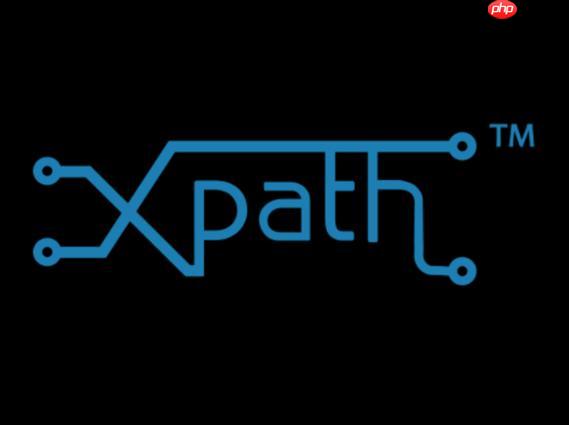 XPath的|运算符如何合并多个结果集?