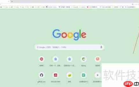 谷歌查看已保存密码方法