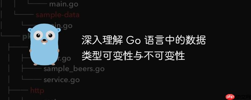 深入理解 go 语言中的数据类型可变性与不可变性