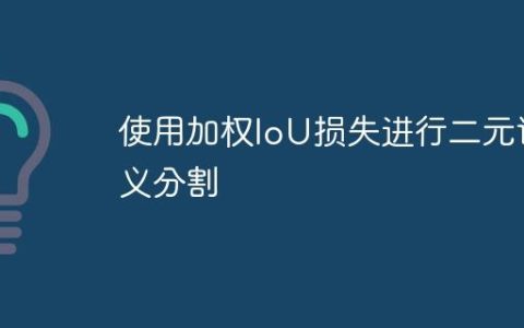 使用加权IoU损失进行二元语义分割