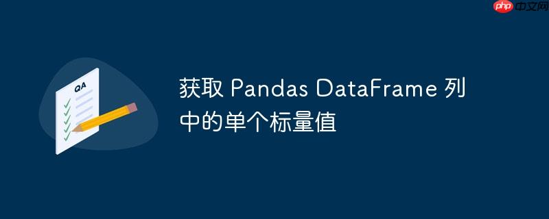 获取 Pandas DataFrame 列中的单个标量值