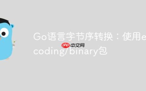 Go语言字节序转换：使用encoding/binary包