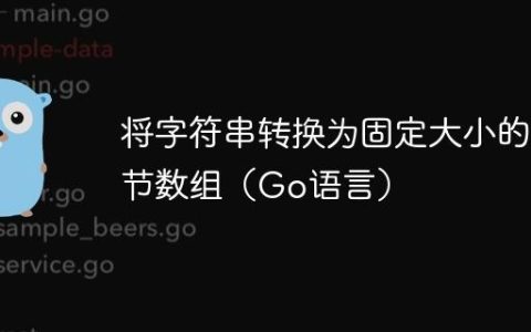 将字符串转换为固定大小的字节数组（Go语言）