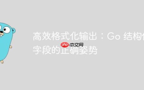 高效格式化输出：Go 结构体字段的正确姿势