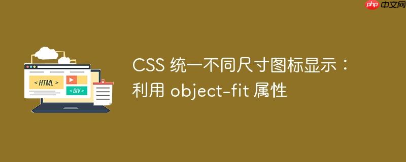 CSS 统一不同尺寸图标显示:利用 object-fit 属性