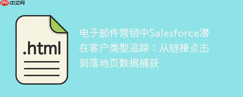 电子邮件营销中Salesforce潜在客户类型追踪：从链接点击到落地页数据捕获