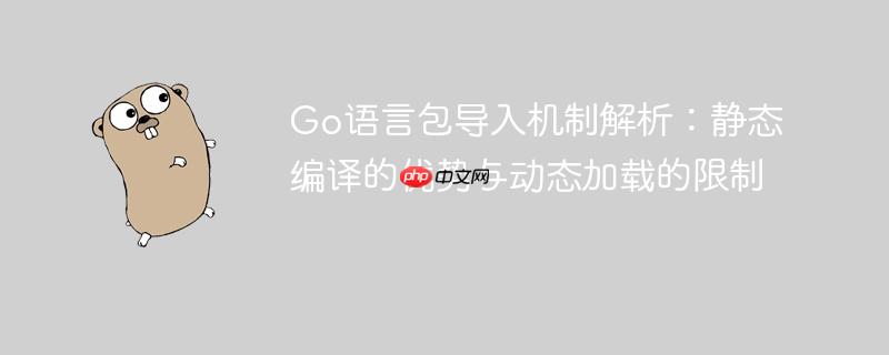 Go语言包导入机制解析:静态编译的优势与动态加载的限制