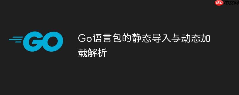 Go语言包的静态导入与动态加载解析
