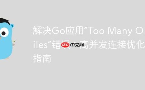 解决Go应用“Too Many Open Files”错误：高并发连接优化指南
