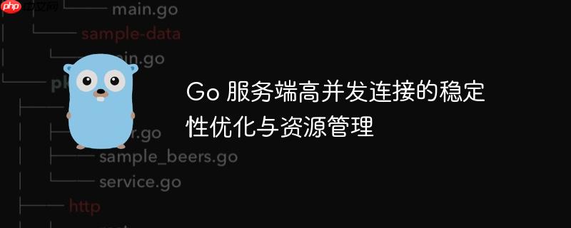 Go 服务端高并发连接的稳定性优化与资源管理