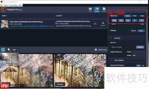 Topaz AI无损放大图像技巧