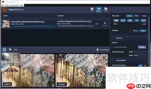 Topaz AI无损放大图像技巧