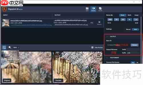 Topaz AI无损放大图像技巧