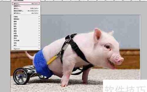 Photoshop CS3快速抠图技巧