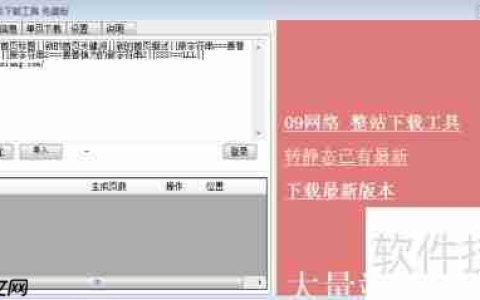 前端扒站神器：IIS7下载器