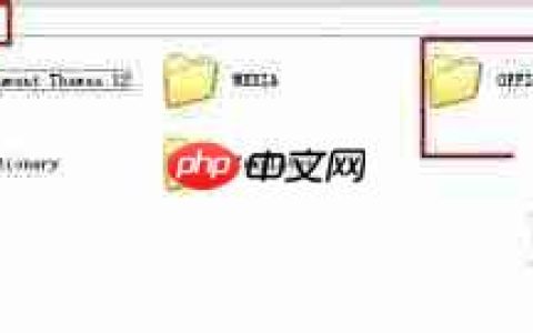 Office 2003与2007共存默认设置技巧