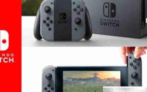 Switch新手使用指南
