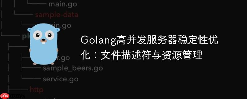 Golang高并发服务器稳定性优化:文件描述符与资源管理