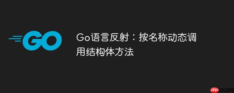 go语言反射:按名称动态调用结构体方法