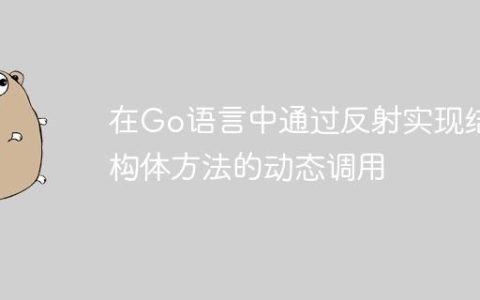 在Go语言中通过反射实现结构体方法的动态调用