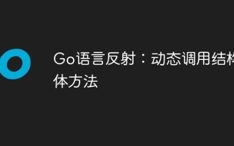 Go语言反射：动态调用结构体方法