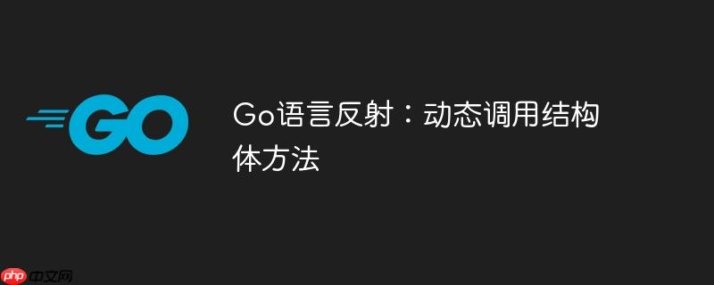 go语言反射:动态调用结构体方法