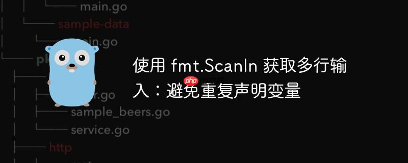 使用 fmt.scanln 获取多行输入:避免重复声明变量