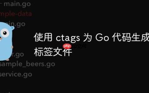 使用 ctags 为 Go 代码生成标签文件
