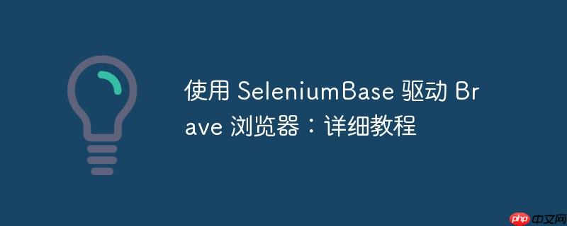 使用 seleniumbase 驱动 brave 浏览器:详细教程