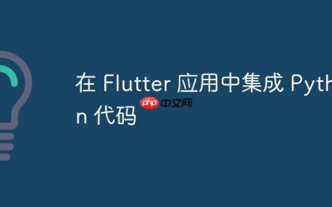 在 Flutter 应用中集成 Python 代码