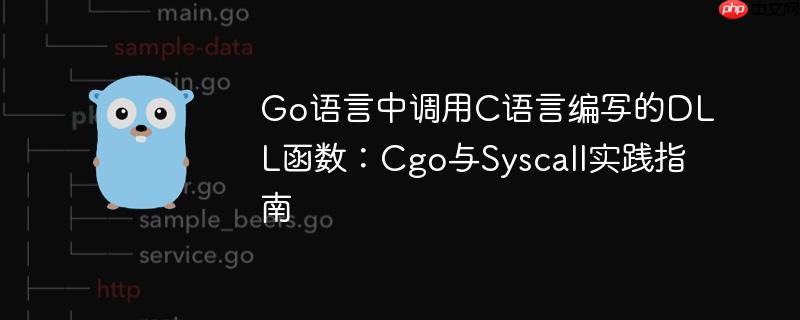 Go语言中调用C语言编写的DLL函数:Cgo与Syscall实践指南