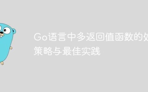 Go语言中多返回值函数的处理策略与最佳实践