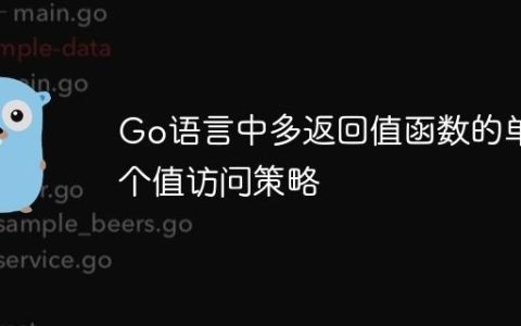 Go语言中多返回值函数的单个值访问策略