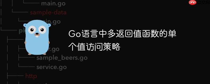 go语言中多返回值函数的单个值访问策略