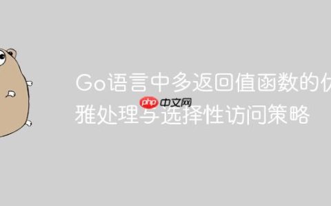 Go语言中多返回值函数的优雅处理与选择性访问策略