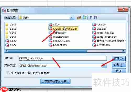 SPSS入门:快速掌握基础操作