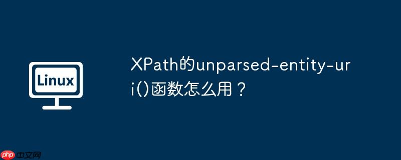xpath的unparsed-entity-uri()函数怎么用?